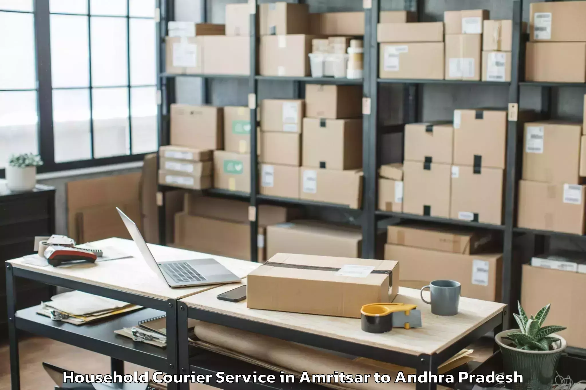 Comprehensive Amritsar to Peddvaduguru Household Courier